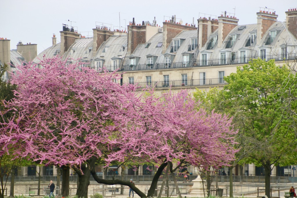 Best Small Group Tour of Paris