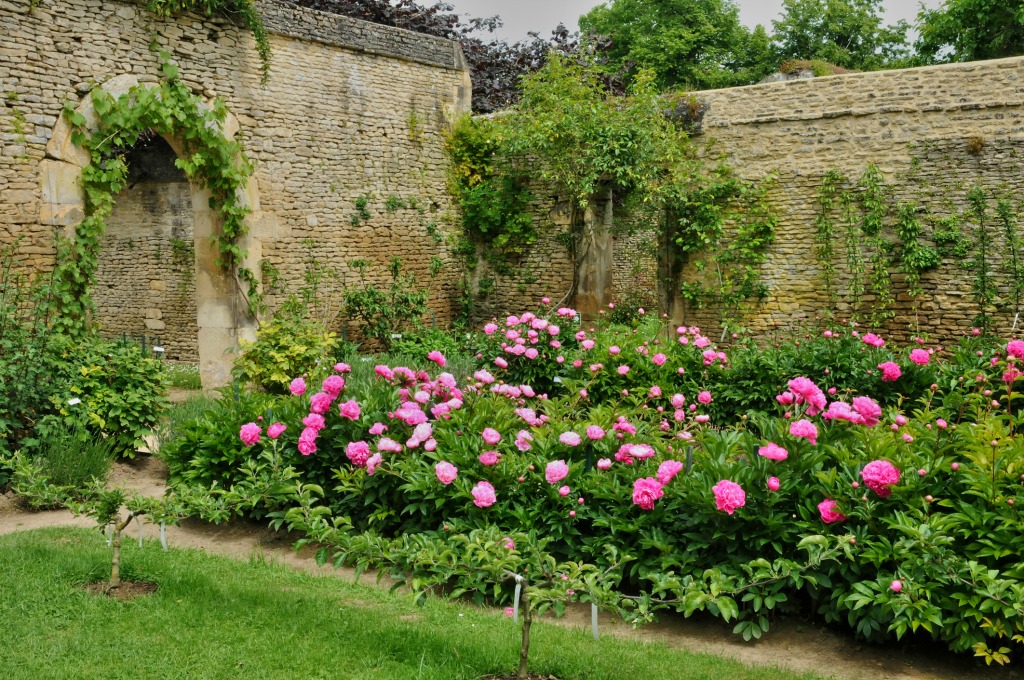 Chateau de Canon Garden, Normandy with pink flowers