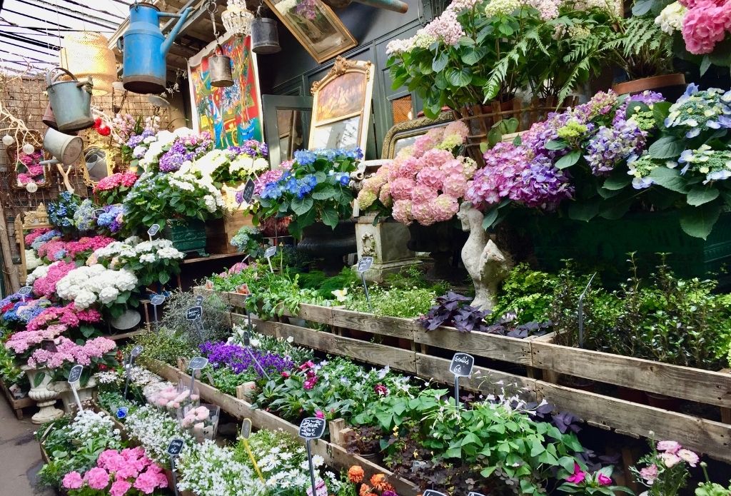 Marché aux Fleurs Île de la Cité Paris