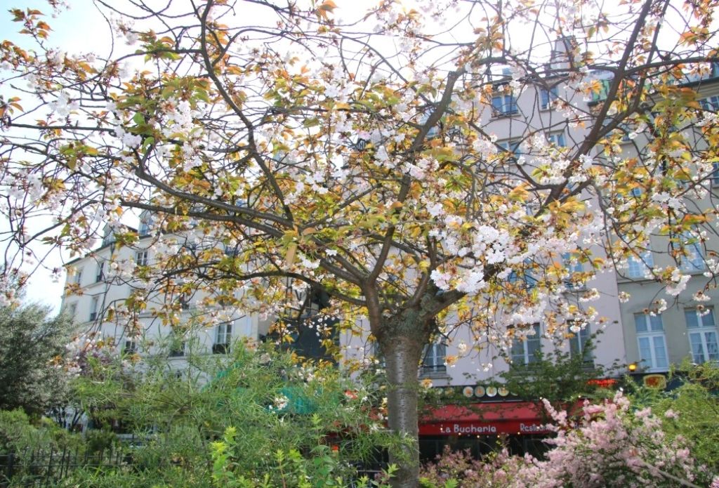 Square Boucicaut, Paris